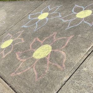 Meet your Posher, Bella